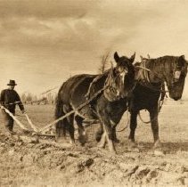 Omc1985.008.046 Image 600dpi